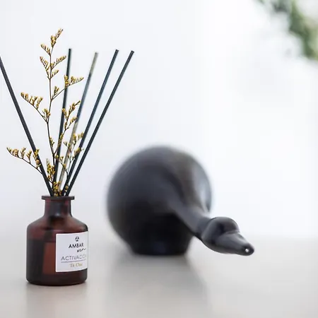 Escalera 10 - Vut4693as 公寓 *